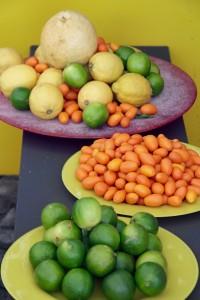 citrus-fruits-1405450_1920